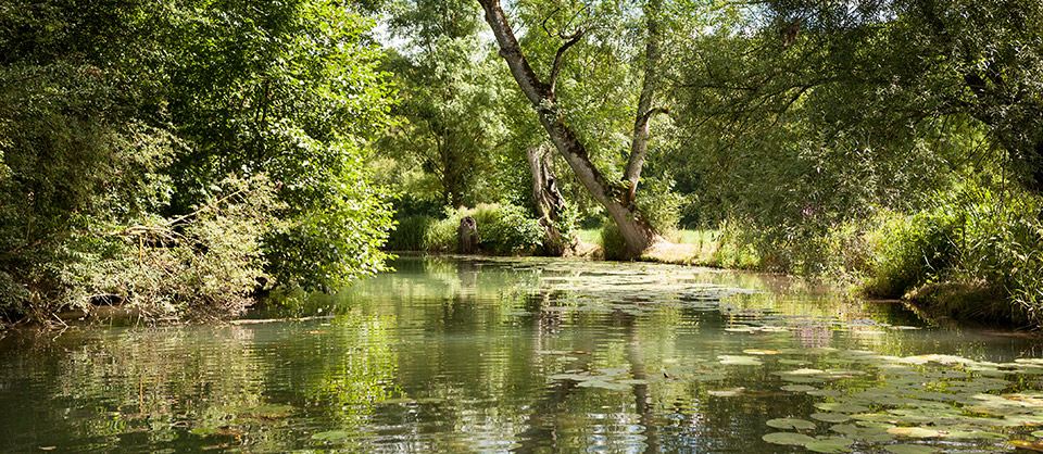 Le long de la rivière